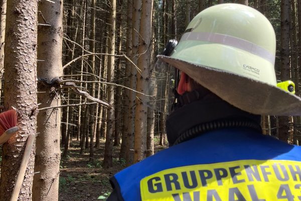 Rettung Schlange 2025